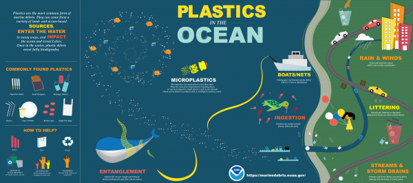 Plastics in the Ocean Infographic
