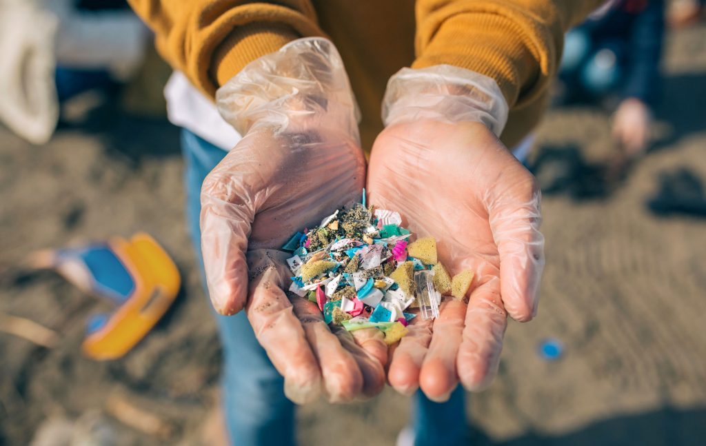 microplastics on the beach from beach survey