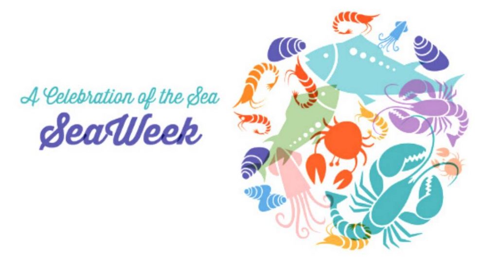 Seaweek graphic