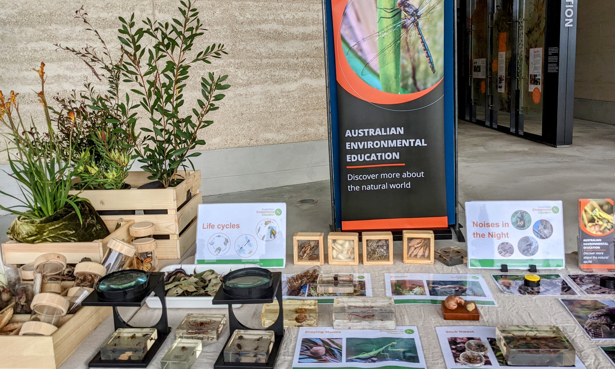 AEE display at Science Festival Mt Annan