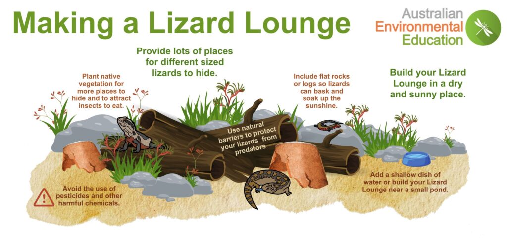 Lizard Lounge infographic