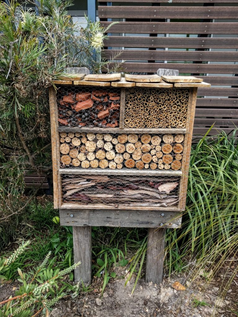 Insect house