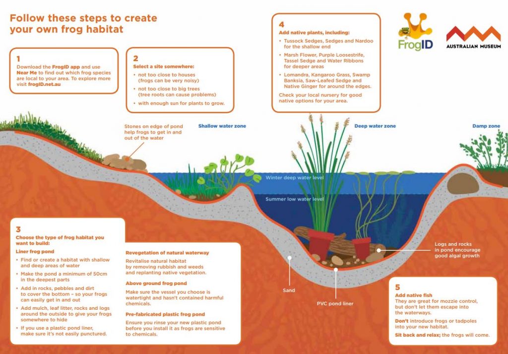 How to build a Frog Pond graphic