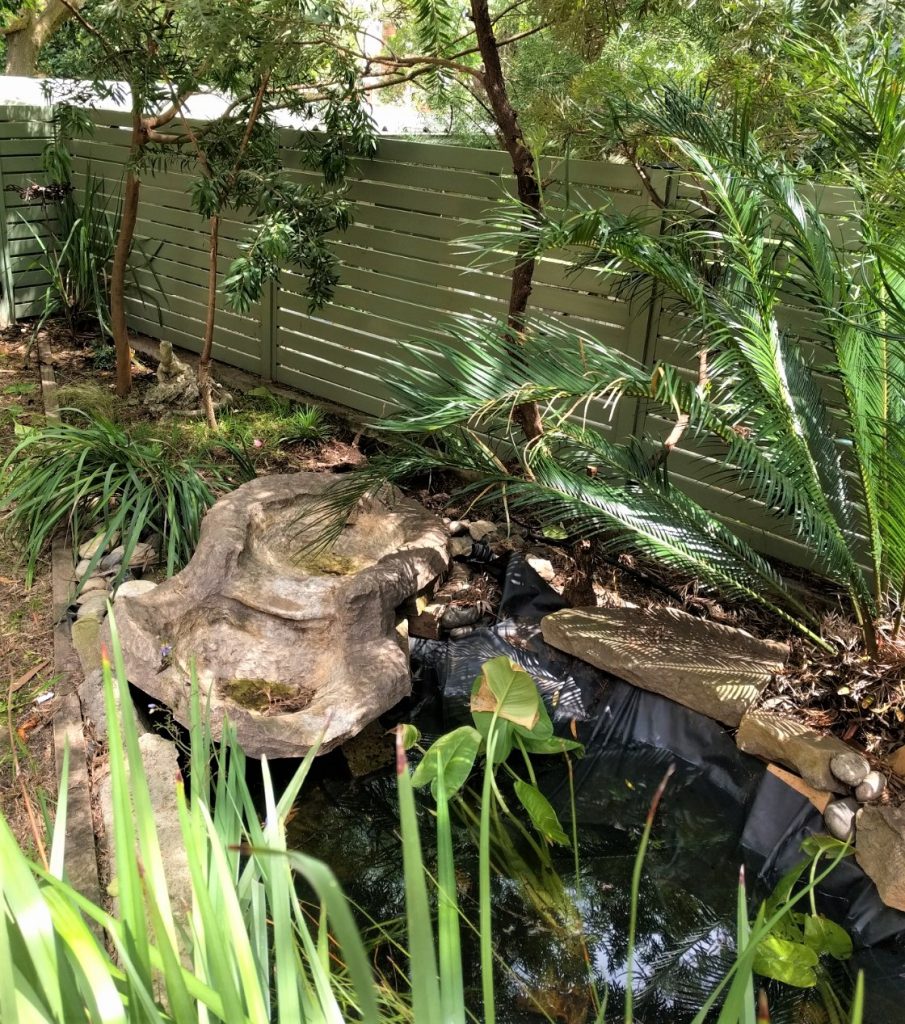 Native garden with Frog pond