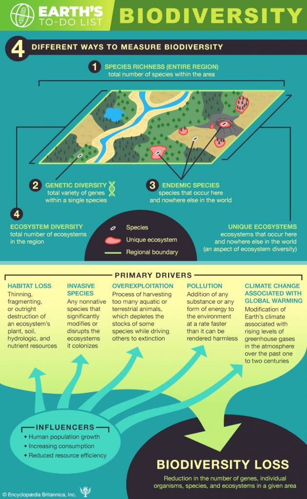 Biodiversity infographic