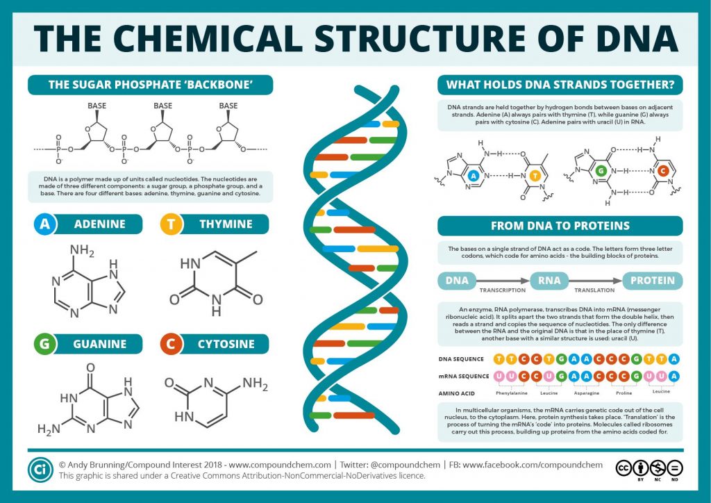 DNA poster