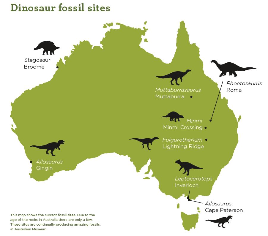 Dinosaur Fossils in Australia