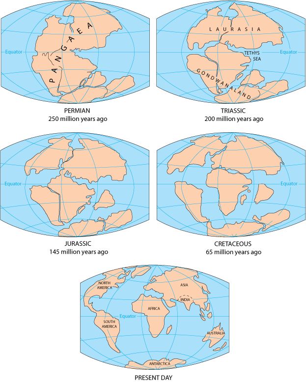 5globes.gif