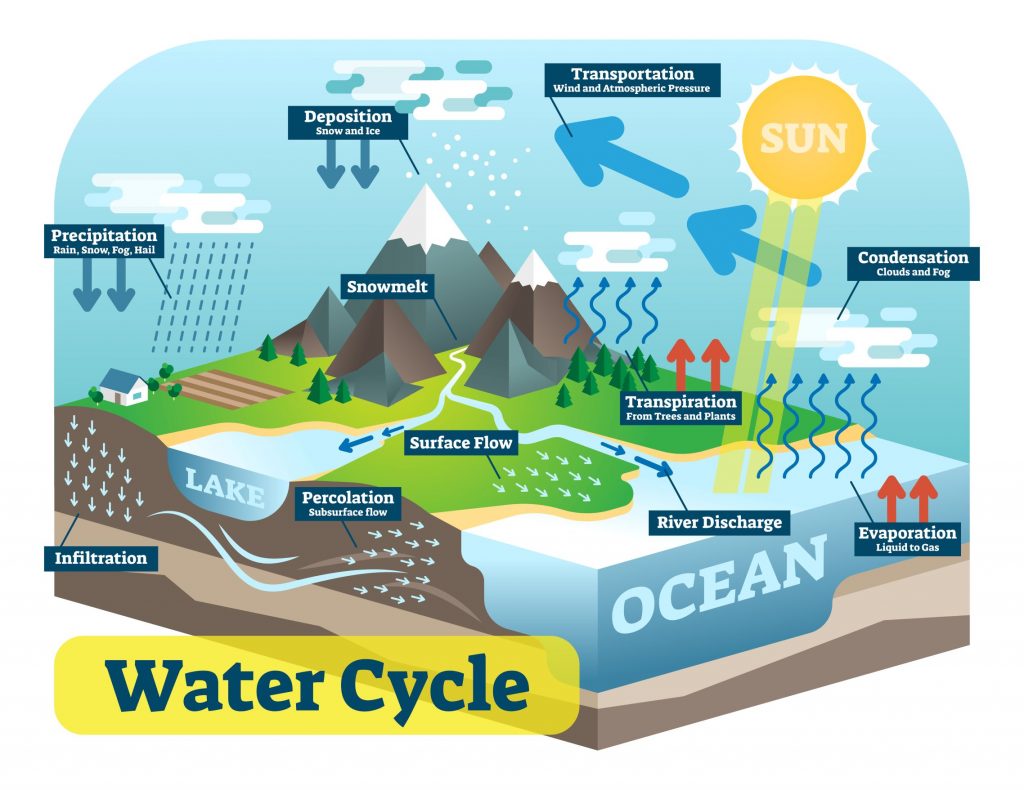 evaporation water cycle