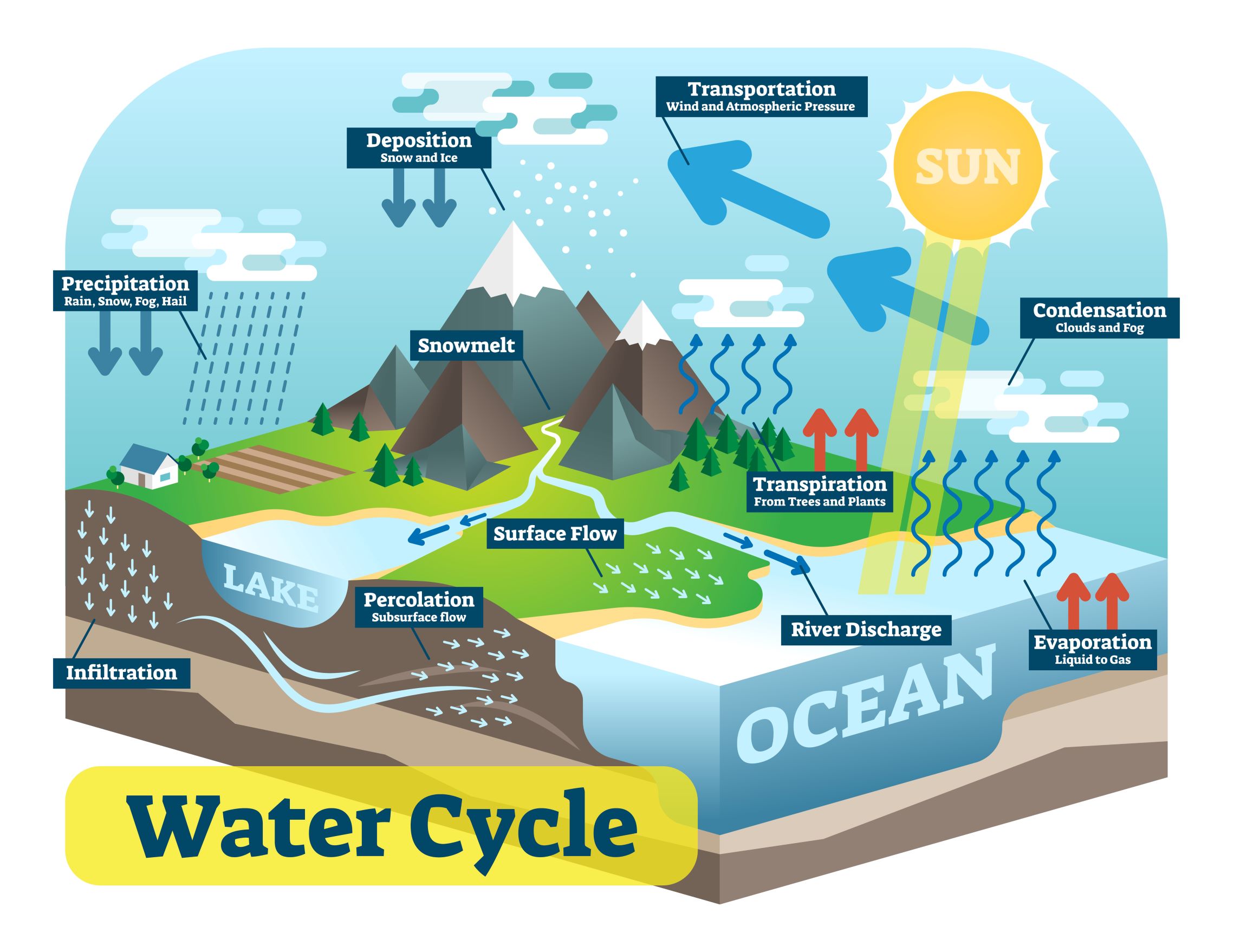 water cycle condensation