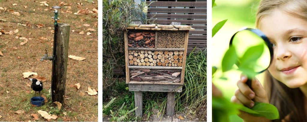 Composite image on sustainability; magpie looking for water in a drought, insect hotel & young girl exploring nature with a hand lens