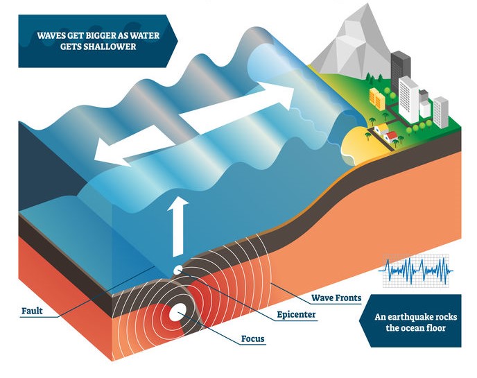 how tsunamis form