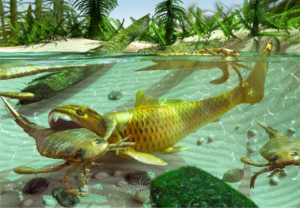 Reconstruction of Life in the Devonian