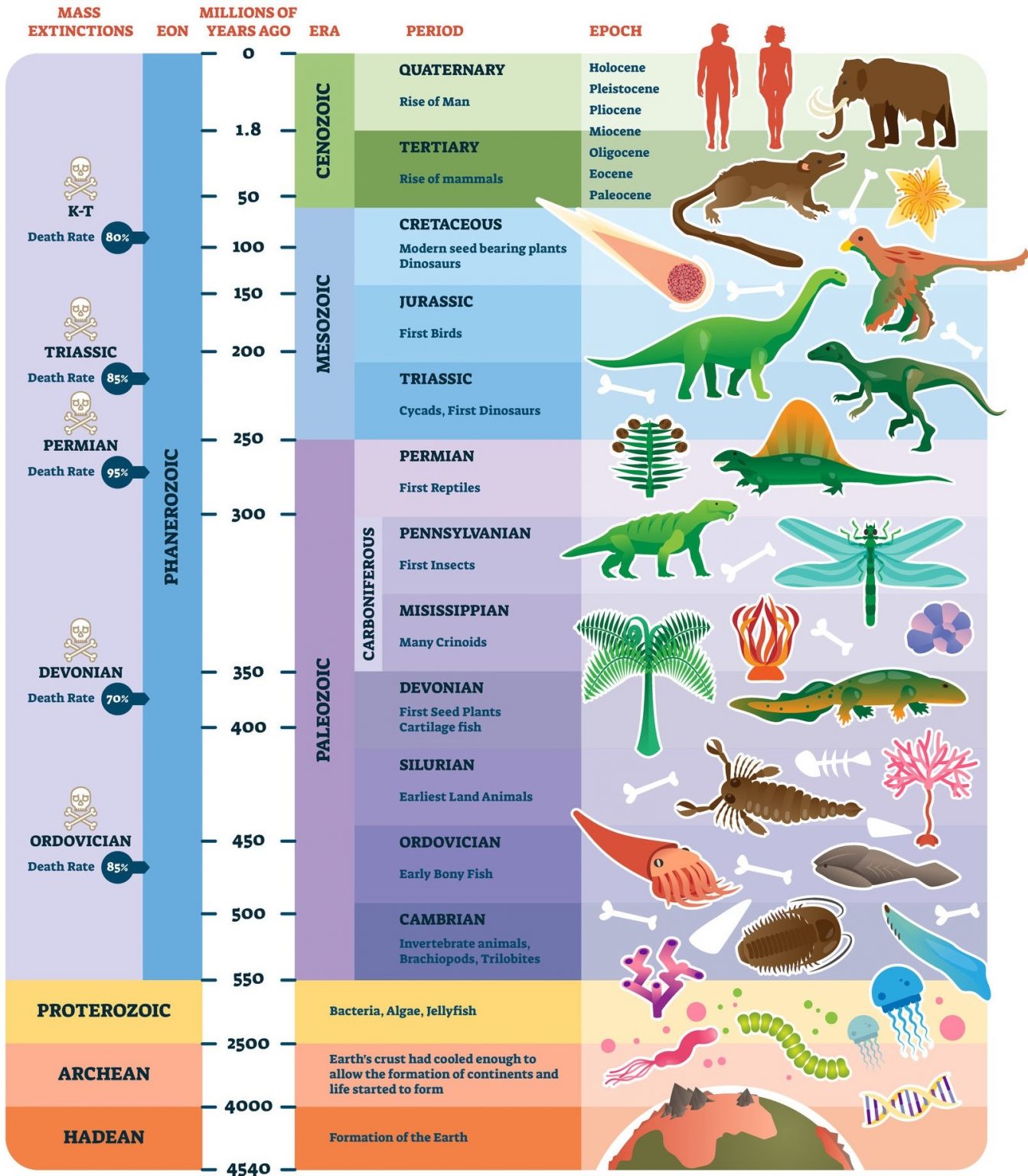 The Geologic Timescale a system of dating based on the rock record