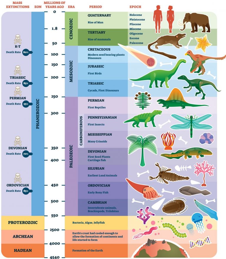 Geologic Time Scale Chart