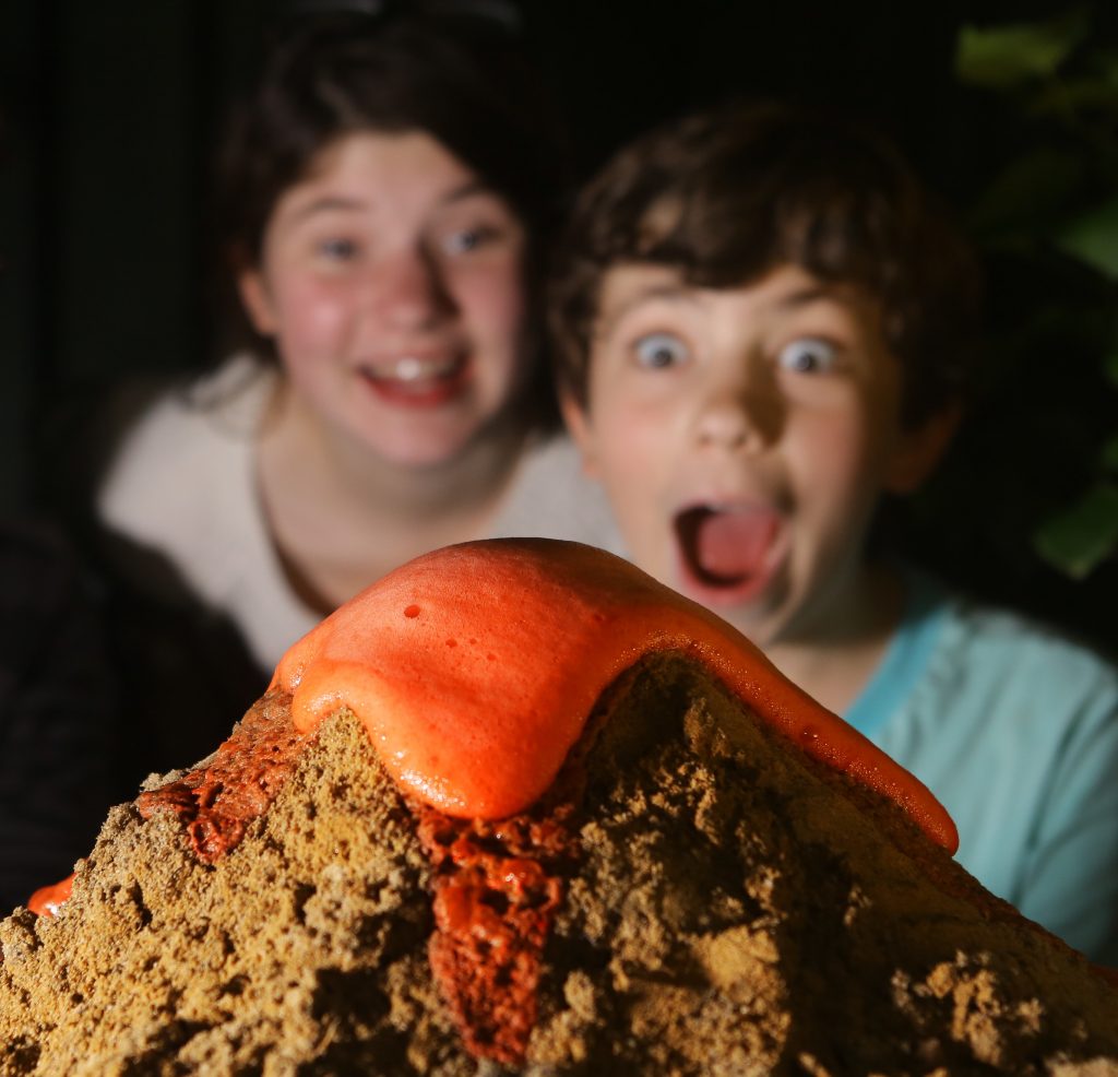 Dynamic Earth incursion