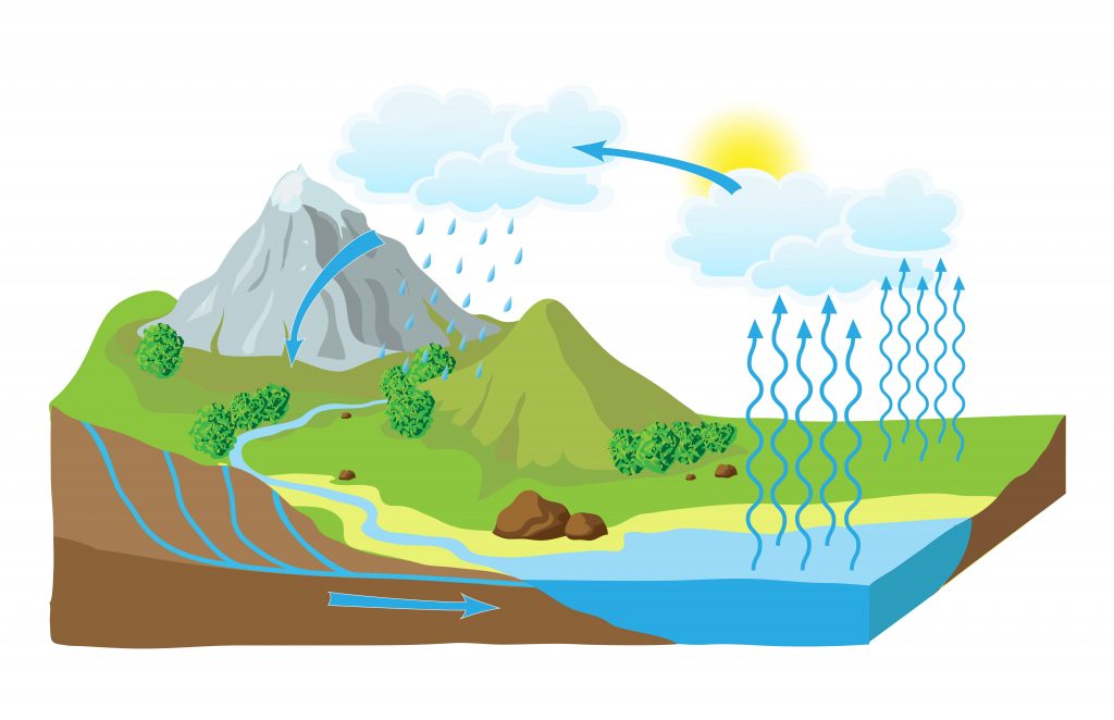 Water Cycle graphic