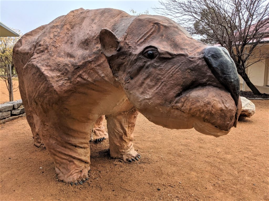 Full size Diprotodon replica