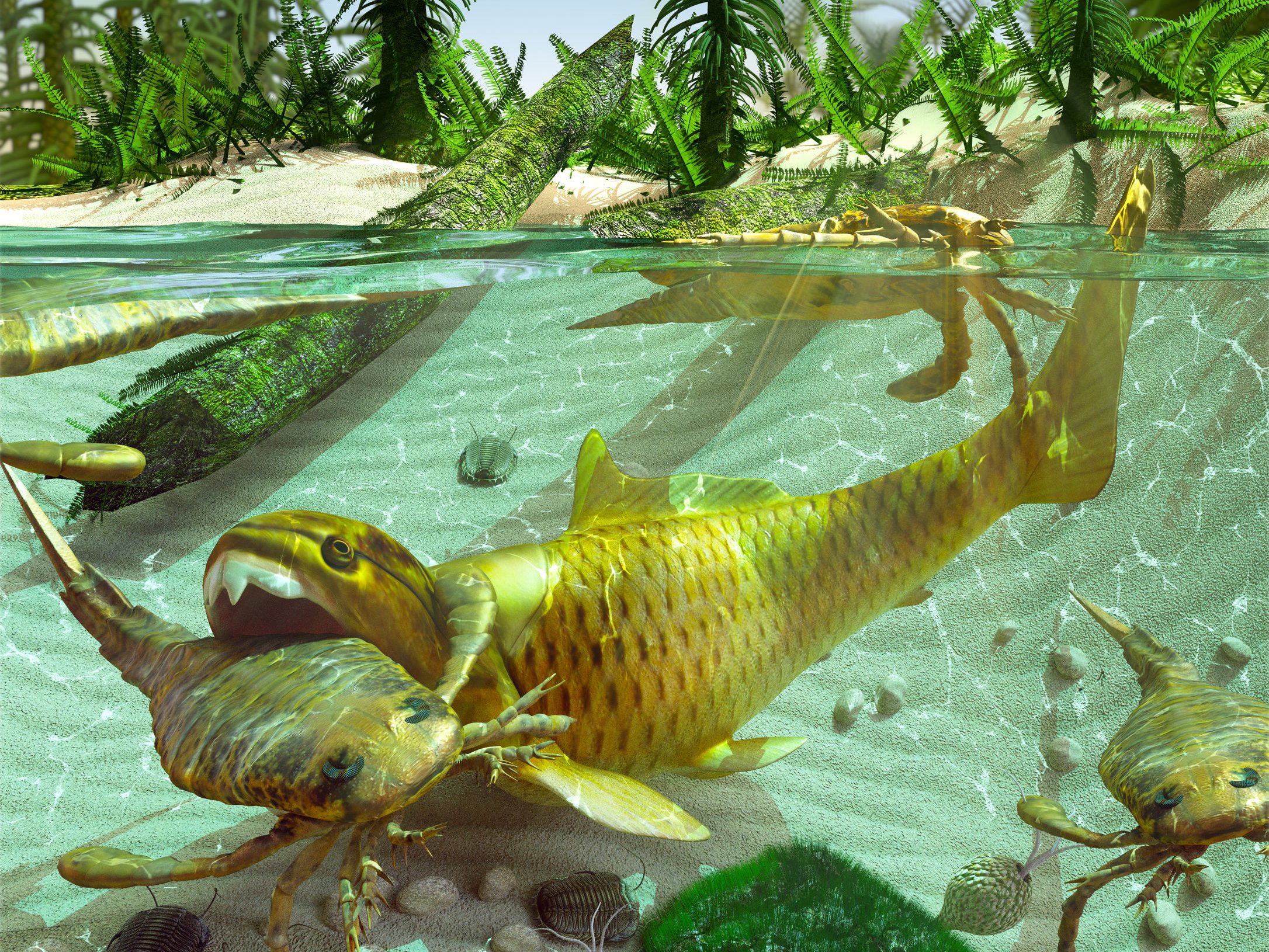 Life in the Devonian