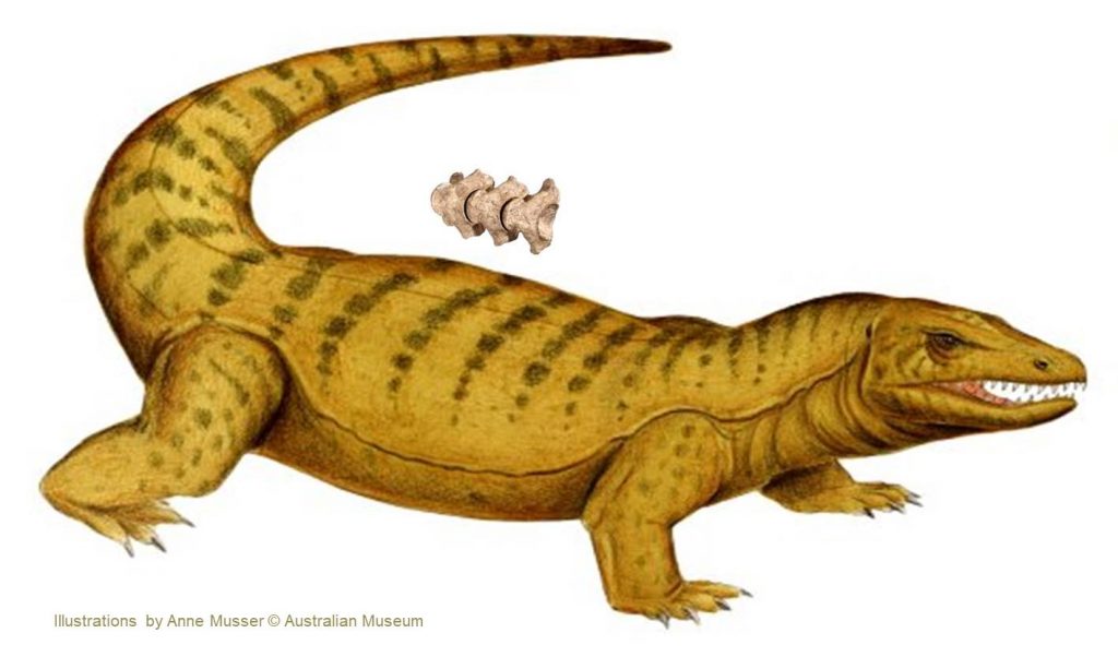 Megalania with vertebrate