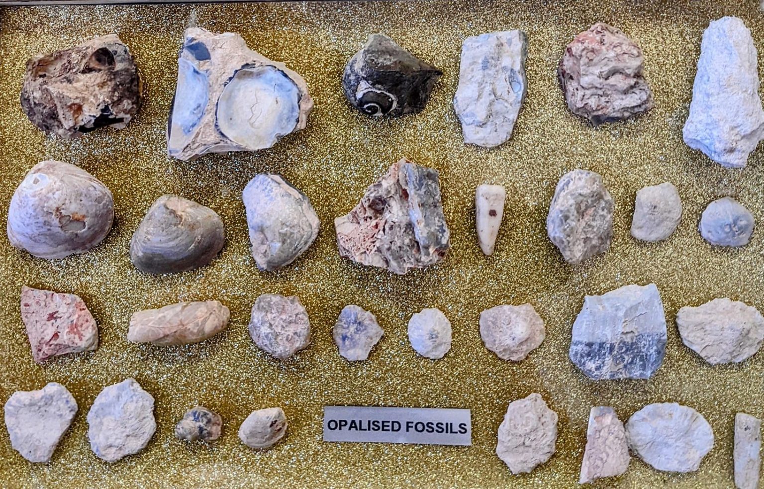 How are opals formed Australian Environmental Education