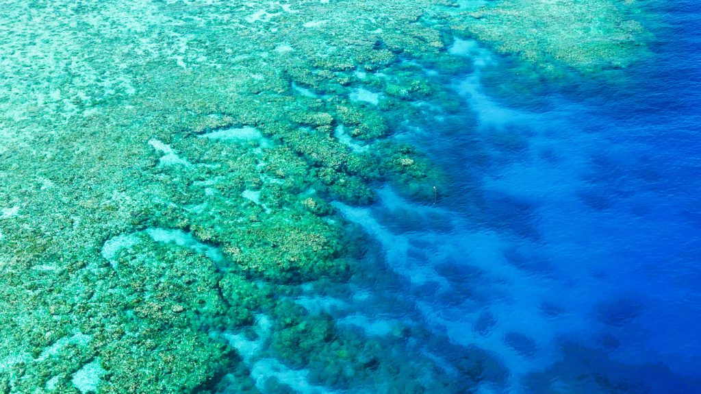 Norman and Saxon Reefs