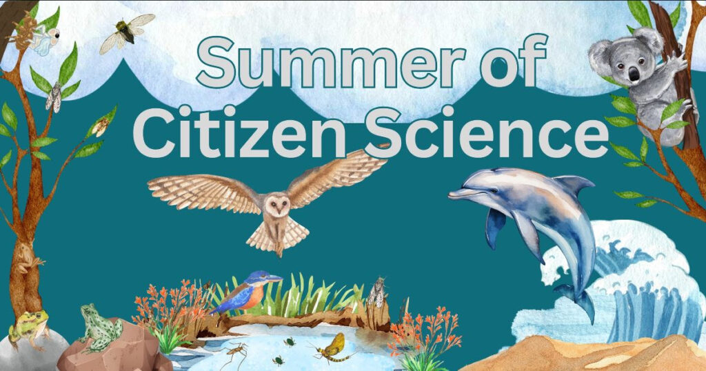 water colour graphic depicting the animals of some citizen science projects