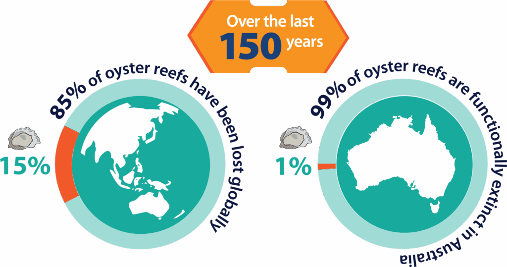 Loss of Oyster reefs graphics