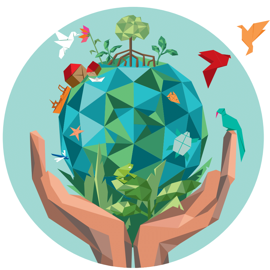 World Wetland day graphic