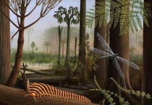 Life in the Carboniferous - Australian Environmental Education